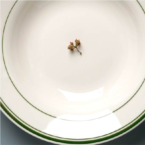 美國TUXTON綠線系列 | 白 | 直徑 22.5~25.2 cm 陶瓷 湯盤 - 好生活實驗所