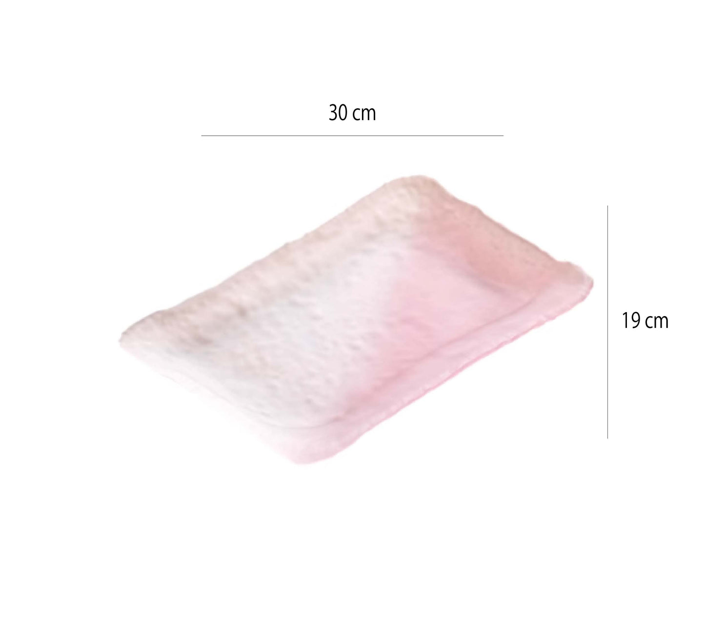 霧面漸層水晶玻璃盤 | 2色 | L30 * W19 * H2 cm 玻璃 長方淺盤