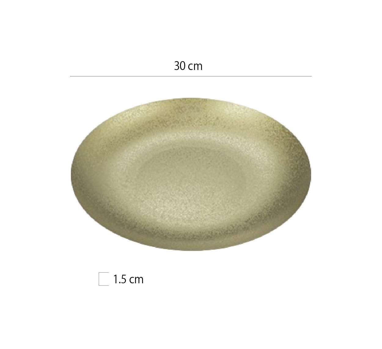 復古雪花304不鏽鋼盤 | 雪花 | 直徑15~30 cm 不鏽鋼 圓淺盤